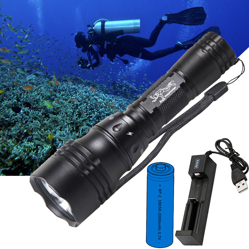 مصباح غوص محمول 10 واط T6 L2 L - مراجعة Fish Finder Charger وسعره